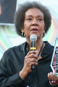 400px-Dr._Frances_Cress_Welsing