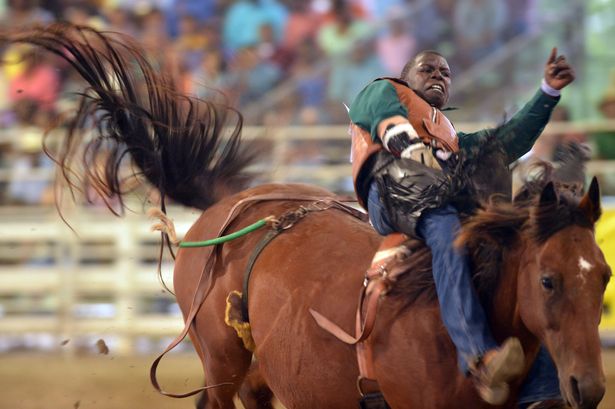 atlanta rodeo