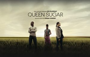 header-landing-queensugar-r3-1472x937