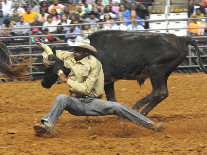 louisiana rodeo — Pragmatic Obots Unite